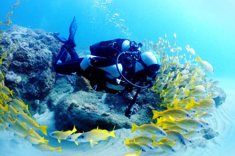 Key West Scuba Diving — Official Padi® 5 Star Center‎